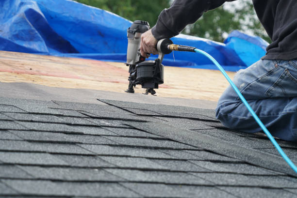 Best Roof Moss and Algae Removal  in Fairmount, TN
